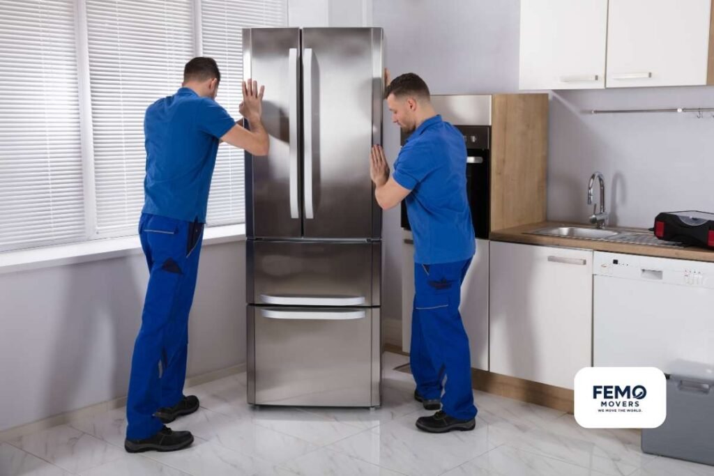 Femo Movers and Packers in Abu Dhabi